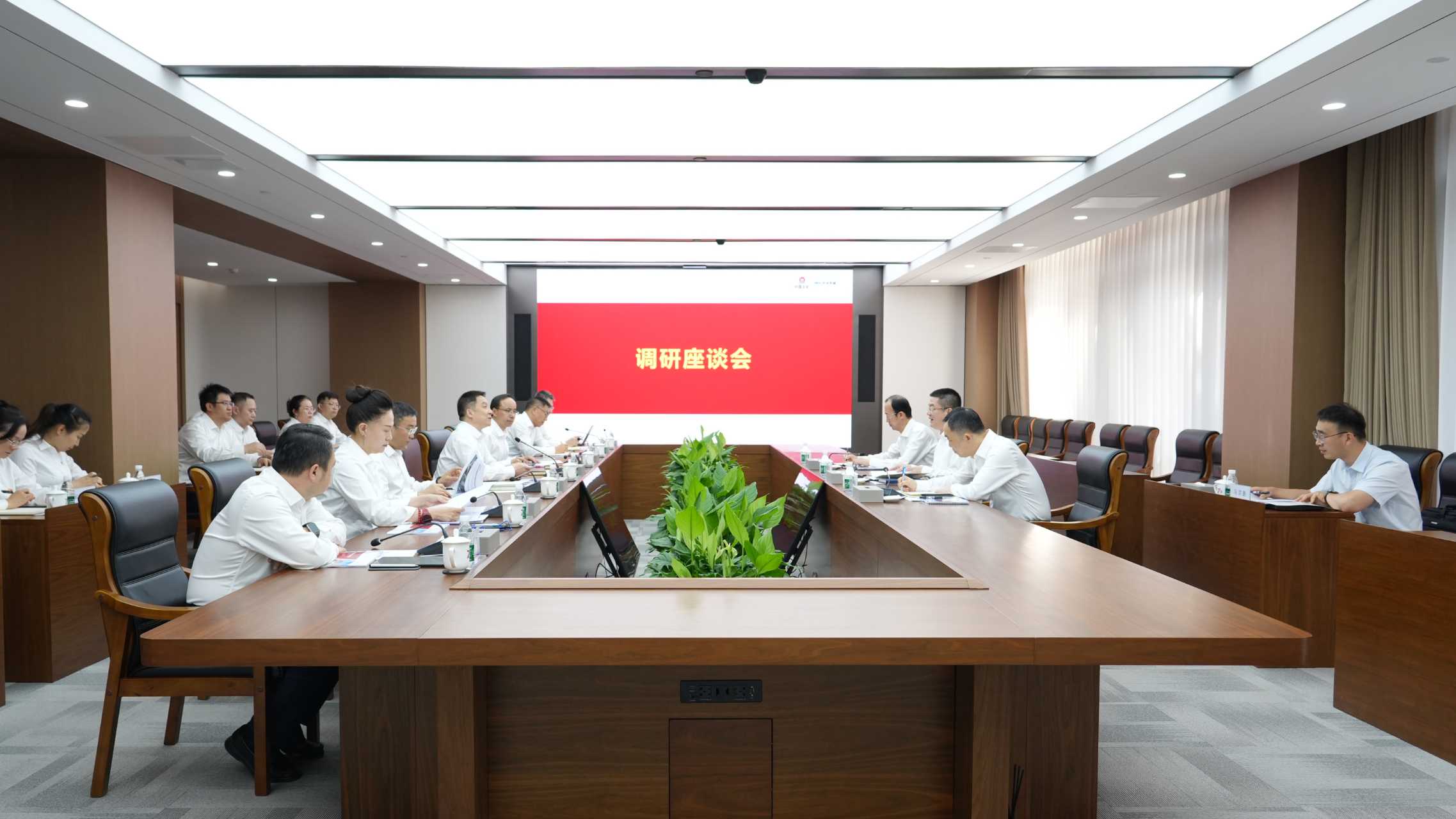 调研座谈会现场